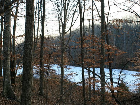 4th image of 5912 Dove Ln