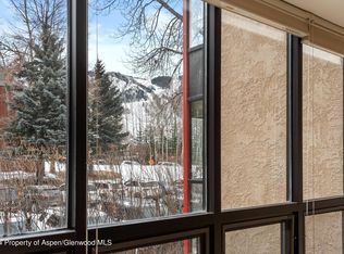 723 Vine St #723, Aspen, CO 81611