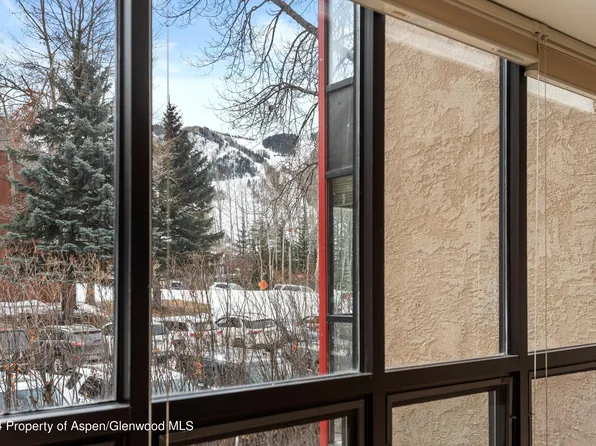 723 Vine St #723, Aspen, CO 81611