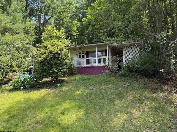 146 Anglin Run Dr, Philippi, WV 26416