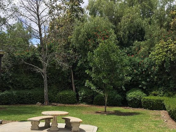 View From Kitchen / Patio
