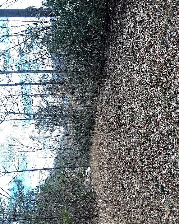 Home site is in. Approved septic