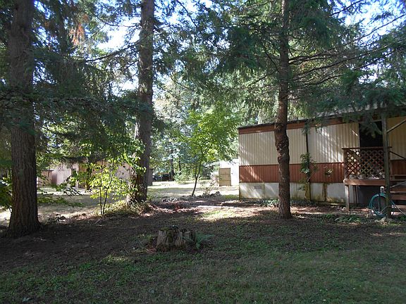 Back yard.