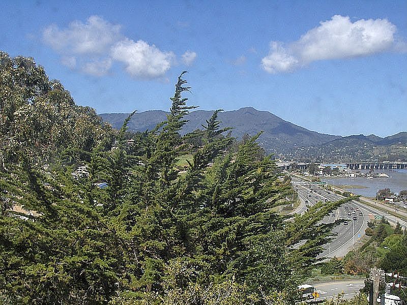 View From Bedroom