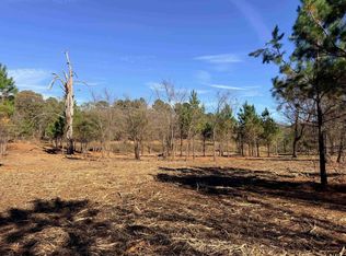 10719 Portside Cir, Tyler, TX 75708