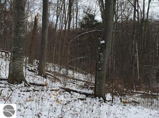 9588 S Nottingham Dr, Traverse City, MI 49684
