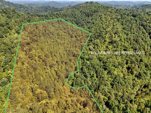 1737 Laurel Branch Rd, Walker, KY 40997