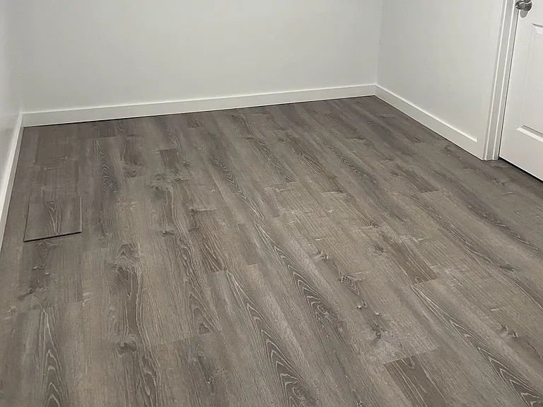 master closet LVP