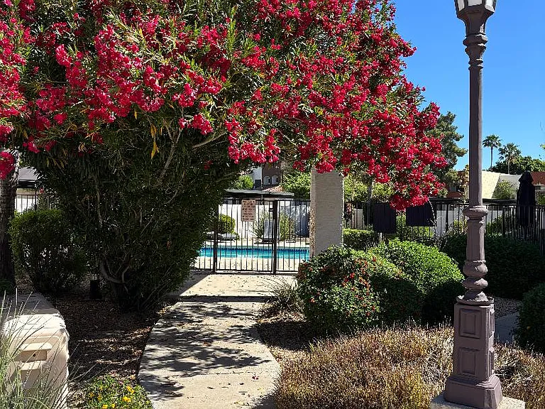 5626 E Kelton Ln — Photo 9