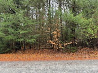LOT 3 Black Bear Bnd LOT 3, Alder Creek, NY 13301