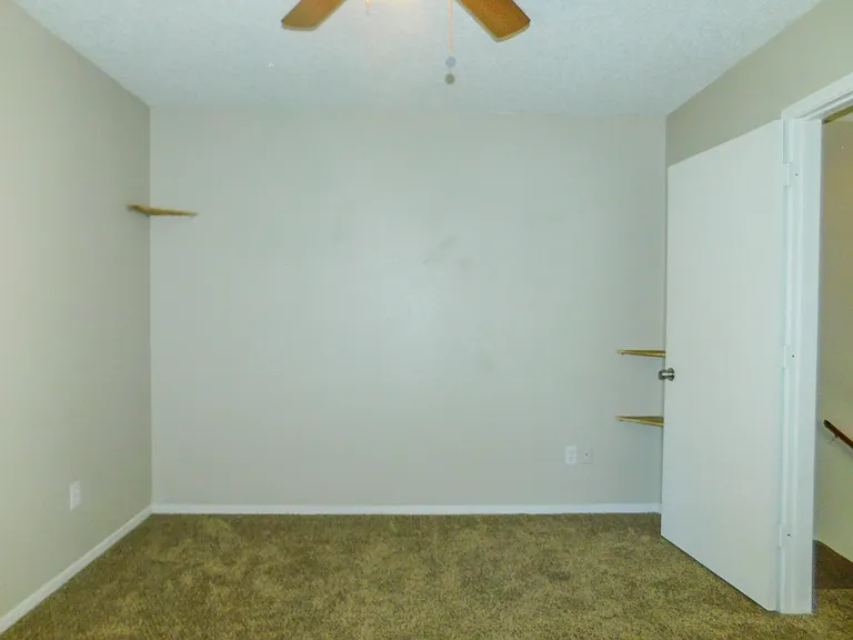 1137 Dallas Dr — Photo 13