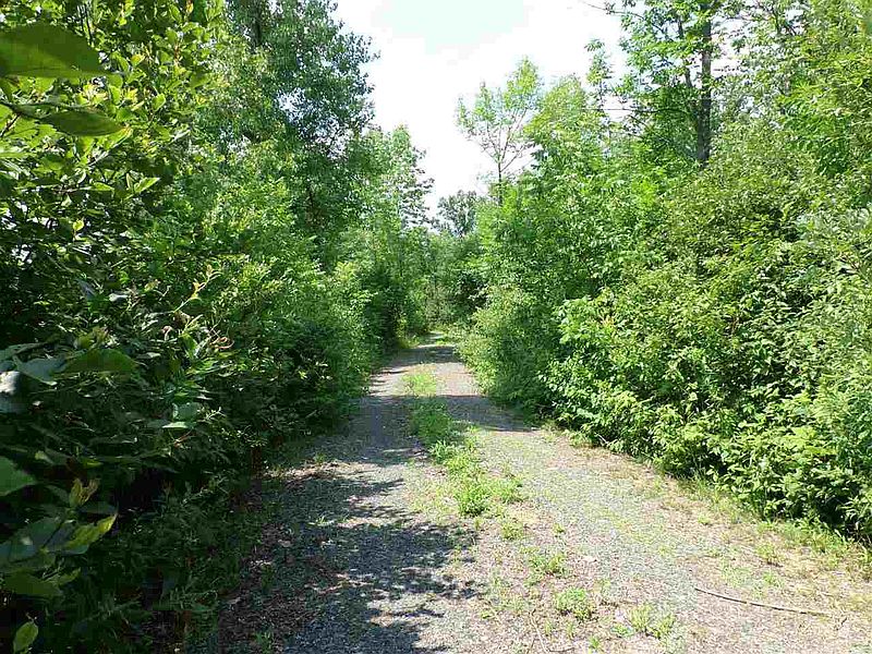 3rd image of 1551 GILBERT Road