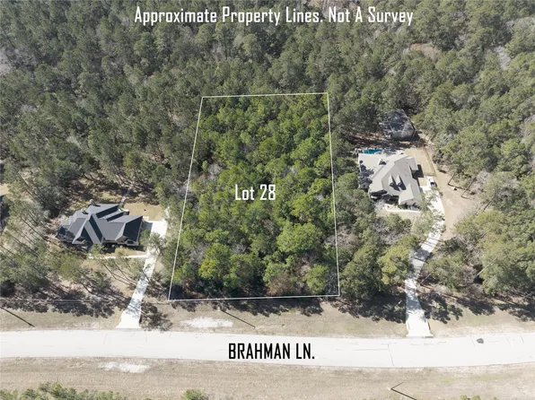 LOT 28 Brahman Ln Lot 28, Huntsville, TX 77340