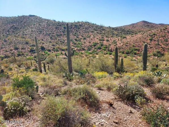 0 E Hardt Tank Road #004L Also known as B, Queen Valley, AZ 85118