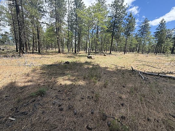 4th image of Old Stage Rd