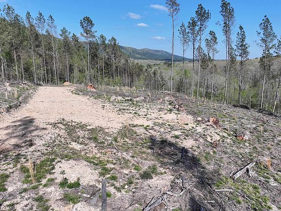 4th image of 14 Palmer Mountain Rd