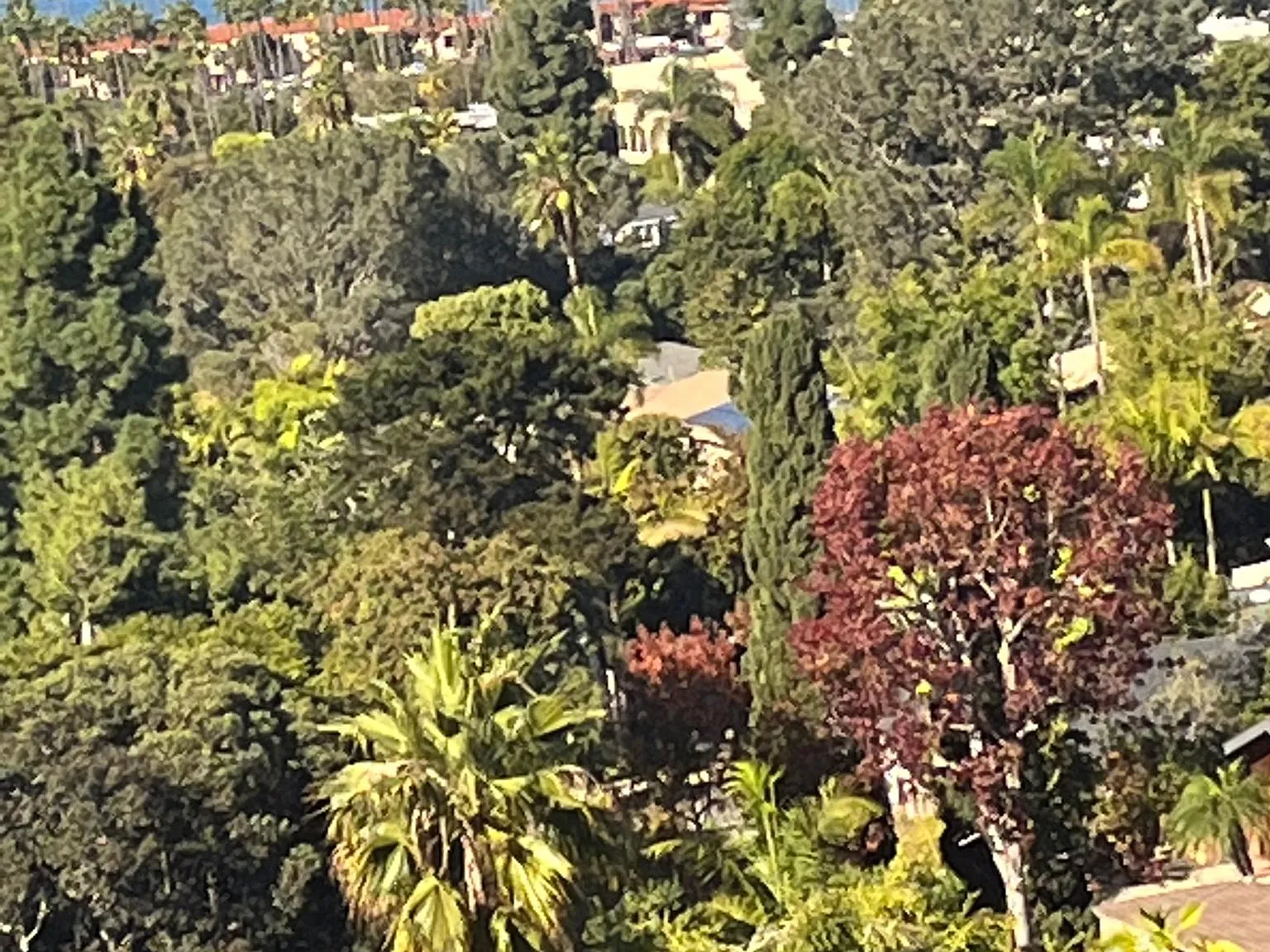 2500 Torrey Pines Rd — Photo 4