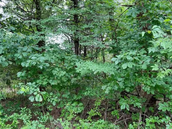 W Pine St, Lead Hill, AR 72644