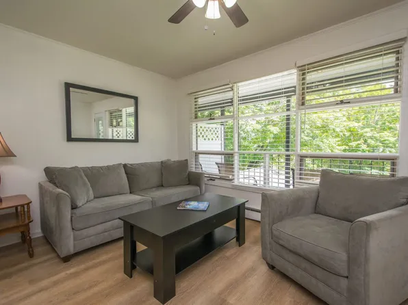 1150 County Road 1812 Floor 2-ID1597497P, Flat Rock, NC 28731