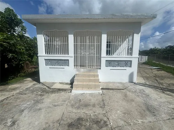 Carr 902 Cayaguas, San Lorenzo, PR 00754