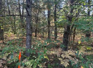 Par C 16th St, Baldwin, MI 49304