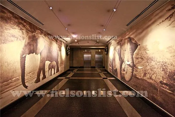 Rented by R New York | media 30