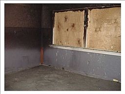 5th image of 1601 Barbara Ave