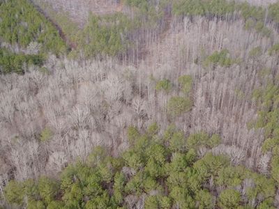 Unkn County Rd #15-3.92, Heflin, AL, 36264