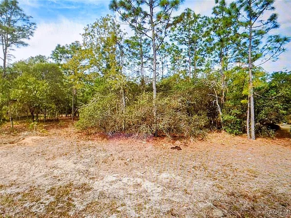 14 Fringetree Ct, Homosassa, FL 34446