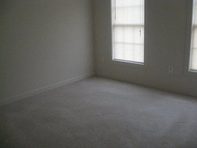 115 Elmira Ln — Photo 12