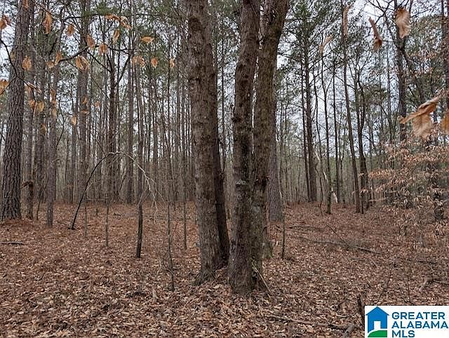 2nd image of 4 Browns Valley Rd #4