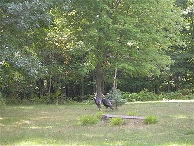 2nd image of 9393 E Young Rd