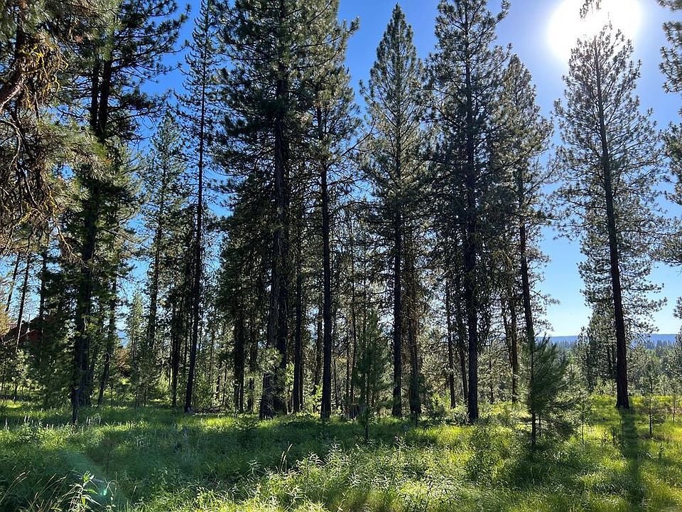 1630 B9 2wks Davis McCall, ID Zillow Apartments for Rent in McCall