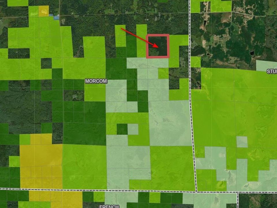 Sand Creek Rd, Cook, MN 55723 Zillow