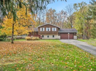 16898 S Meadowpark Dr, Walton Hills, OH 44146