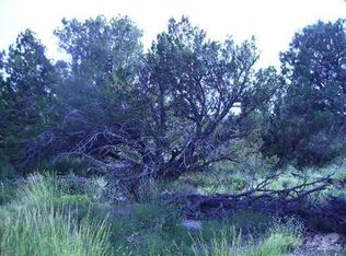 8281 Pinon Dr, Show Low, AZ 85901