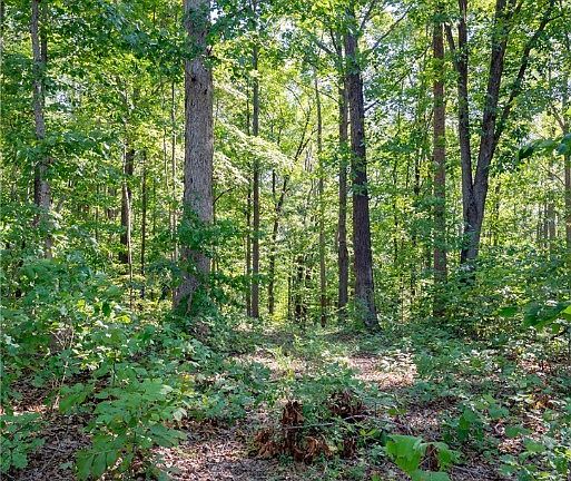 3rd image of 0 Mountain Hall Rd