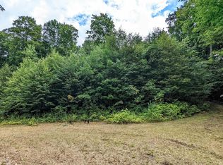 0 Cadillac Hwy, Copemish, MI 49625