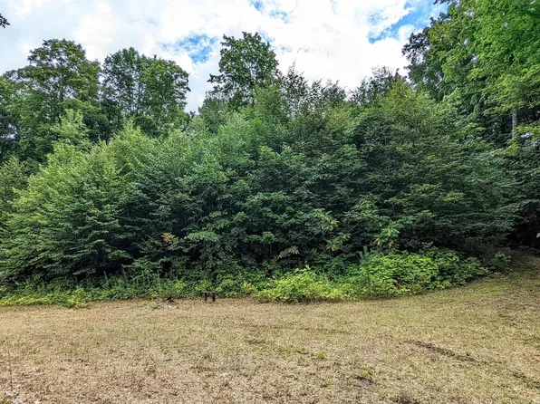 0 Cadillac Hwy, Copemish, MI 49625