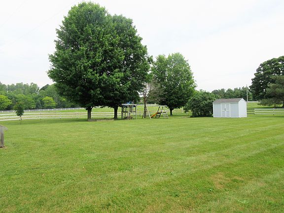 Watch the horses roam!!!