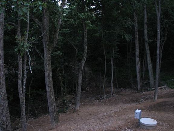 A look into the back woods.