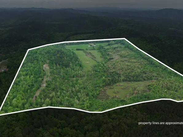 Ryan Rd #5, Oden, AR 71961