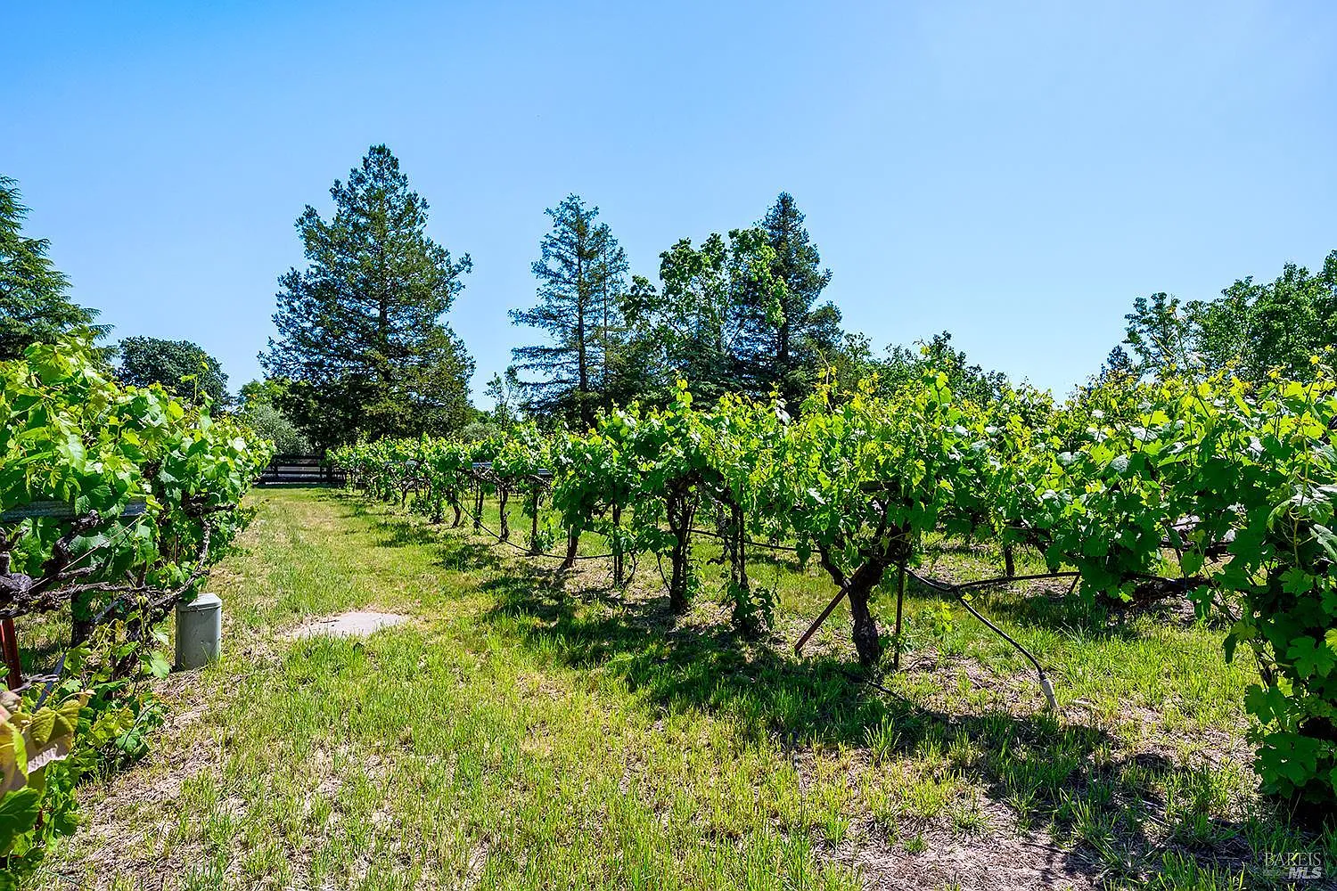 5533 Oak Meadow Drive - Photo 4