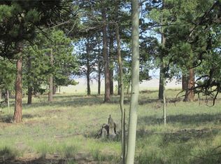 11068 Ranch Rd, Hartsel, CO 80449