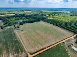895 Pearson Rd, Sylvester, GA 31791