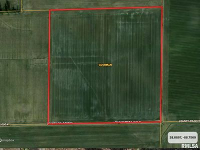 1000 North Rd, Farina, IL, 62838