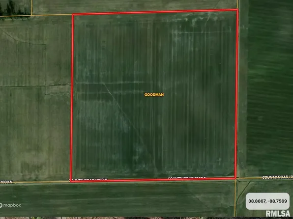 1000 North Rd, Farina, IL 62838