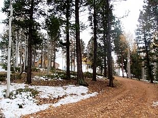 Road