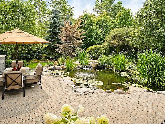 Koi Pond