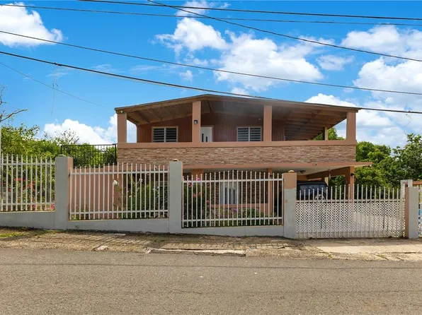 D Street Carrizales #Bo-272, Hatillo, PR 00659